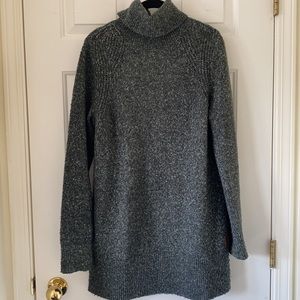 Roots Turtleneck Sweater Dress